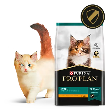 Purina%C2%AE-Proplan%C2%AE-Optistar.png.webp?itok=Fnjcy78Z
