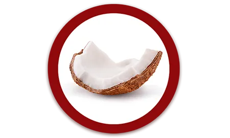 03_Purina_ONE_ICONOS_Coco.png.webp?itok=kM9RKknl