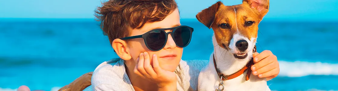 purina-brrand-consejos-para-vacaciones-con-perros-banner-desktop.png