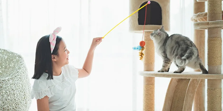 Dale a tu michi los mejores juguetes para gatos, como hace esta niña con su mascota.