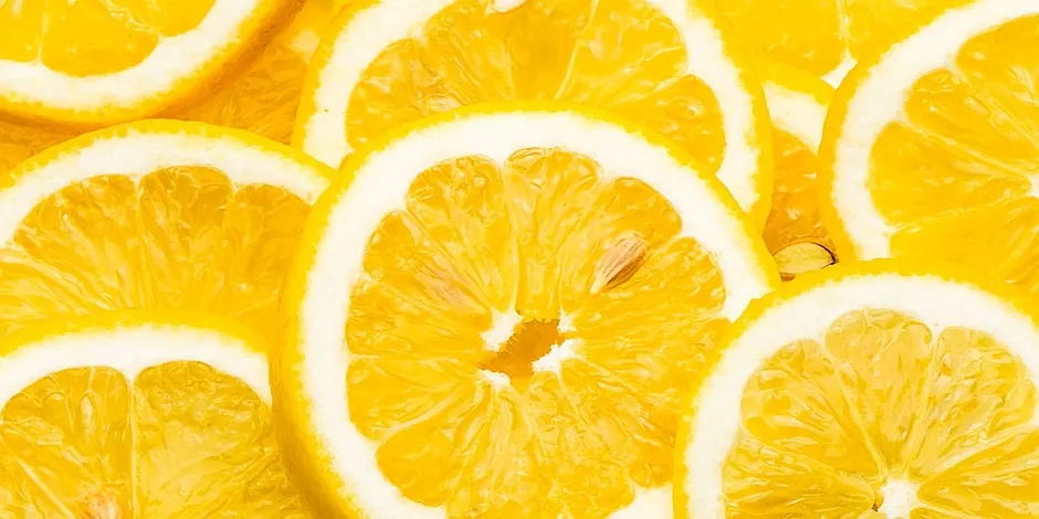 perro-come-limones.jpg