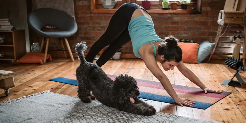La actividad física ayuda a aumentar cuanto vive un perro. Mujer de mediana edad practicando yoga, acompañada por su mascota de raza mediana, de color negro.