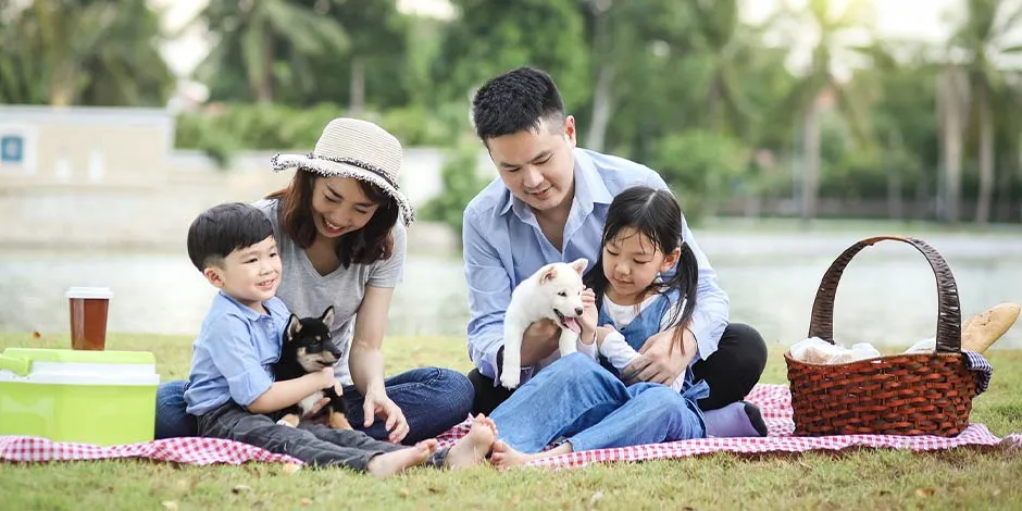 Familia disfrutando de un día de campo sin alergias a los perros, junto a su cachorro de shiba inu.