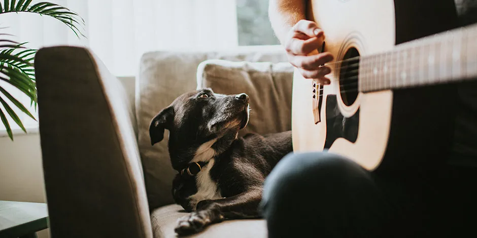 Persona tocando música relajante para perros con su guitarra junto a su mascota.